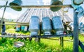 Old Milk Cans Made of Aluminum Royalty Free Stock Photo