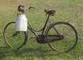 Old milking bicycle with aluminum milk canister to deliver milk Royalty Free Stock Photo