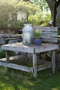 Old milkstand with vintage milk churn and lavender Royalty Free Stock Photo