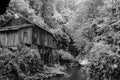 Old Mill In Forest Royalty Free Stock Photo