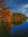 Tranquil and Colorful Reflection on Mill Pond Royalty Free Stock Photo