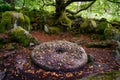 Old mill stone on the forest floor Padley gorge Derbyshire UK