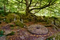 Old mill stone lying on the floor of Padley gorge woods Derbyshire UK