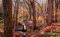 Old mill and waterwheel in a beautiful fall woods Royalty Free Stock Photo