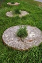 Old millstone on green grass Royalty Free Stock Photo