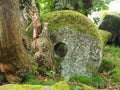 Old millstone in Padley Gorge, an ancient woodland in the Peak District, Northern England