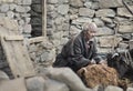 Old mn from korzok village stand in front of the house and cares for his cows