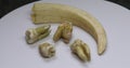 Old molars of humans and wild boar