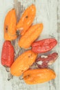 Old, moldy and wrinkled peppers. Unhealthy, decompose, spoiled vegetable