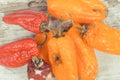 Old, moldy and wrinkled peppers. Unhealthy, decompose, spoiled vegetable