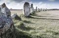 Old monolits arranged in a row ancient place, Britanny, France Royalty Free Stock Photo