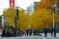 Old Montreal, Canada - October 27, 2019 - The view of the street in the city overlooking bright yellow trees during Fall season