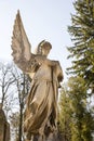 Old monument of angel at Lychakiv cemetery, Lviv, Ukraine Royalty Free Stock Photo