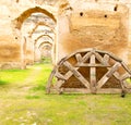 old moroccan gran ary in the green grass and archway wall Royalty Free Stock Photo