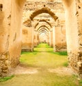 old moroccan gran ary in the green grass and archway wall Royalty Free Stock Photo