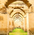 old moroccan in the green grass and archway wall Royalty Free Stock Photo