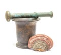 Old mortar and pestle. Chaga is a birch mushroom. Isolate Royalty Free Stock Photo