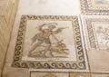 Old mosaic in Hatay archeology Museum,Turkey