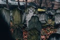 Old moss-covered cemetery in autumn Royalty Free Stock Photo