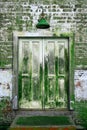 Old Moss Covered Door White Paint Peeling Royalty Free Stock Photo