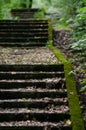 old moss-covered staircase in the forest path to the tunnels mystical mood