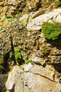 Old Moss Covered Stone Wall Royalty Free Stock Photo