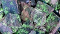 Old Mossy Bricks Covered in Green Algae and Texture Royalty Free Stock Photo
