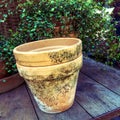 Old mossy clay pot