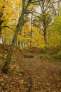 Old mossy pathway with stairs through a forest in rainy autumn day.