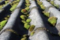 Old and mossy roof