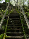 Old mossy stairs outdoors in the woods Royalty Free Stock Photo