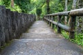 old mossy stairs path in the middle of green nature landscape Royalty Free Stock Photo