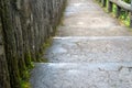 old mossy stairs path in the middle of green nature landscape Royalty Free Stock Photo