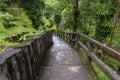 old mossy stairs path in the middle of green nature landscape Royalty Free Stock Photo