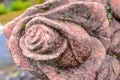 Old mossy stone granite rose. Part of tombstone in public cemetery of stone rose Royalty Free Stock Photo