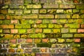 Old mossy wall Royalty Free Stock Photo