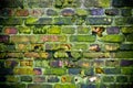 Old mossy wall Royalty Free Stock Photo