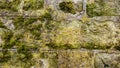 Old mossy wall Royalty Free Stock Photo