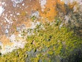old mossy wall natural background Royalty Free Stock Photo