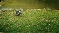 An old motorcycle parked against River side