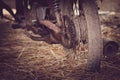 Old motorcycle with rusty components Royalty Free Stock Photo