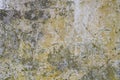 Detail of old grungy wall texture Royalty Free Stock Photo