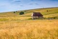 Old mountain balkan house in sunset, Bosnia and Herzegovina