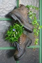 Old mountain boots Royalty Free Stock Photo