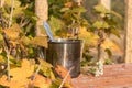 An old mug with tea stands on a wooden table against the background of orange currant leaves in the afternoon in autumn