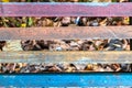 Old multi-colored boards and autumn yellow leaves background. abstract wood texture pattern and seasonal concept Royalty Free Stock Photo