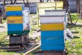 Old multihull hives on apiary in spring. Preparing bees for summer honey harvests. planks for bees that didn't make it