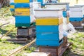 Old multihull hives on apiary in spring. Preparing bees for summer honey harvests. planks for bees that didn't make it Royalty Free Stock Photo