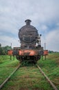 Old museum locomotive in nature covered with vegetation and rust