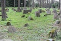 Old muslim cemetery in the village of Kruszyniany, in Podlaskie Voivodeship, in eastern Poland where Tatars live Royalty Free Stock Photo